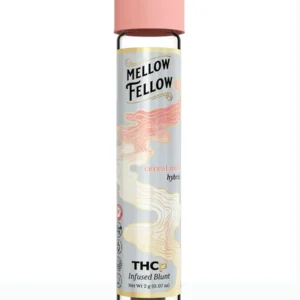 Cereal Milk Mellow Fellow THCP Infused Blunt Pre-Roll 2G