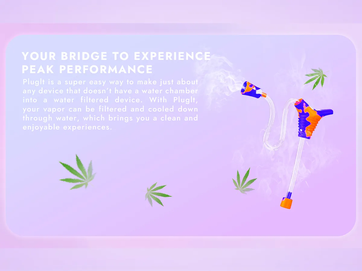 Ispure PlugIt - Image 4