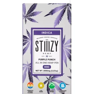 Purple Punch STIIIZY HHC Live Resin AIO Disposable 2G