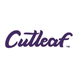 Cutleaf